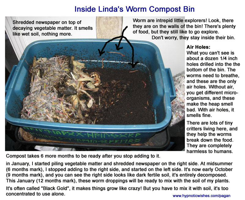 Inside Linda's Pagan Worm Compost bin and Shrine
